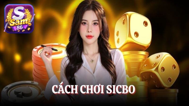 Cách chơi Sicbo - Cẩm nang dành cho người chơi mới bắt đầu